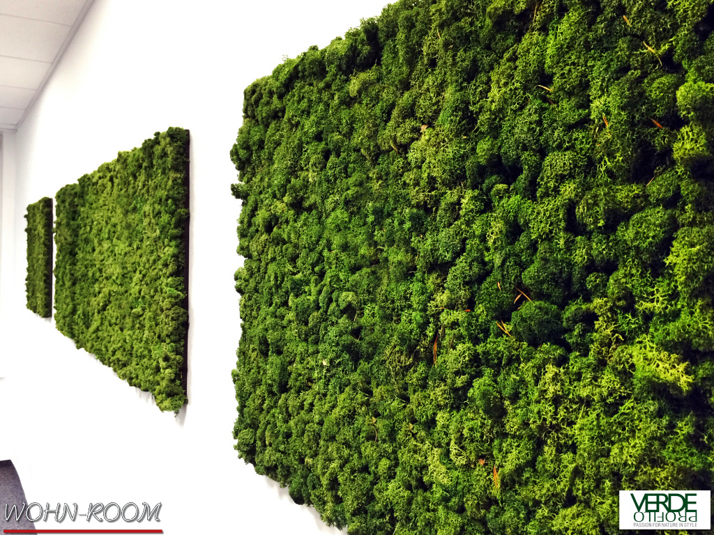 wandverkleidung_pflanze_mosswall_mint_moos_moos-paneele_wohn-room
