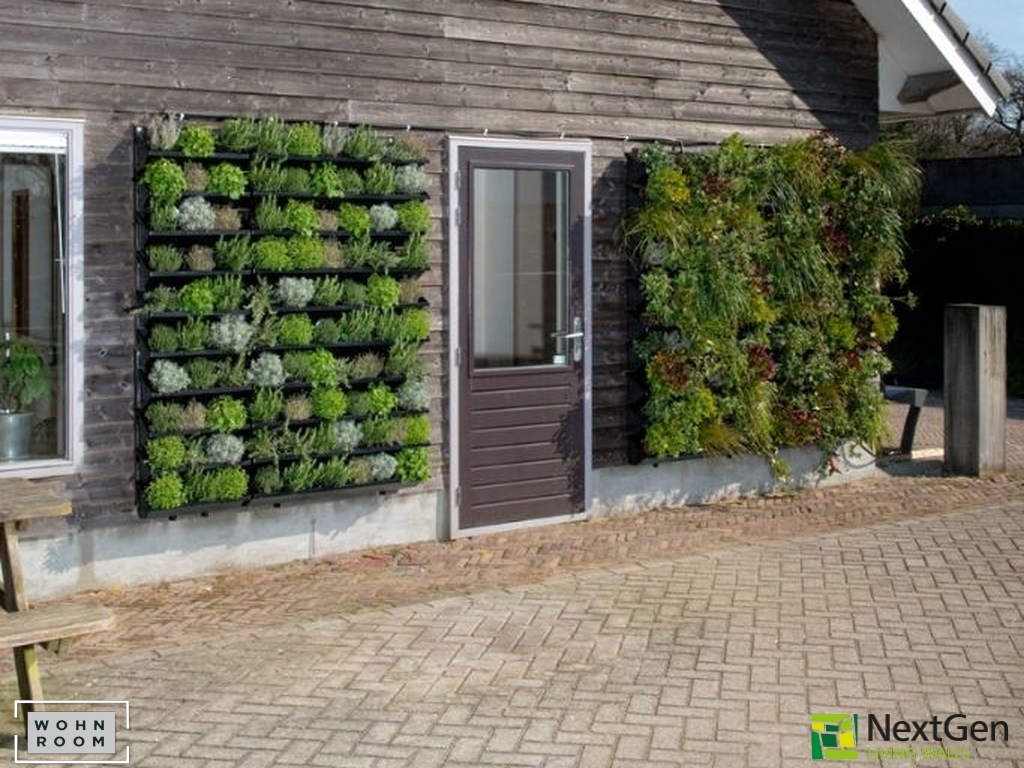 wandverkleidung_pflanzen_nexgen_vertikale-begrünung_wohn-room