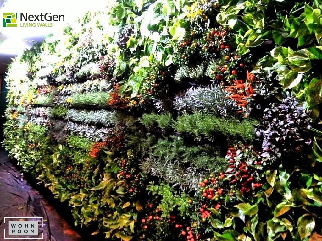 wandverkleidung_pflanzen_nexgen_vertikale-begrünung_kräuter_wohn-room